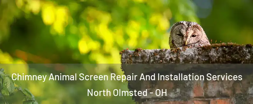  Chimney Animal Screen Repair And Installation Services North Olmsted - OH
