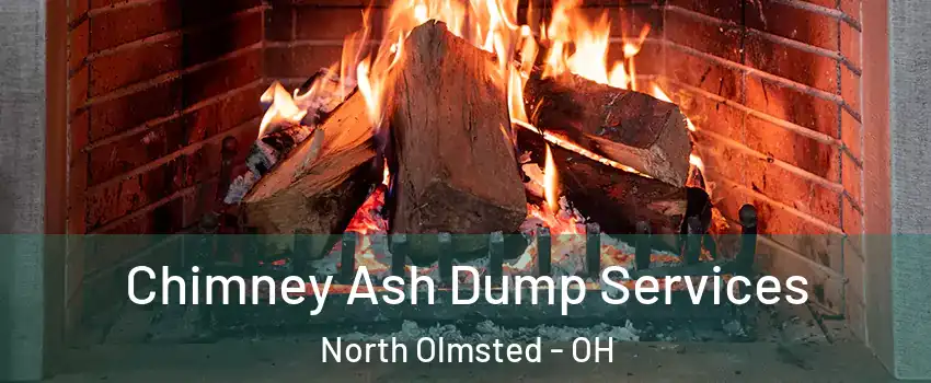  Chimney Ash Dump Services North Olmsted - OH