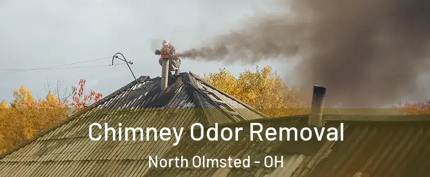  Chimney Odor Removal North Olmsted - OH