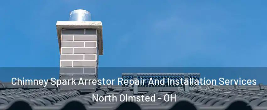  Chimney Spark Arrestor Repair And Installation Services North Olmsted - OH