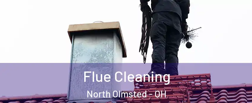  Flue Cleaning North Olmsted - OH