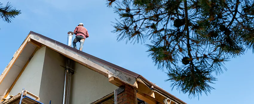 Birds Removal Contractors from Chimney in North Olmsted, OH