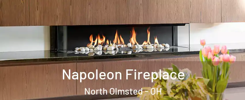  Napoleon Fireplace North Olmsted - OH