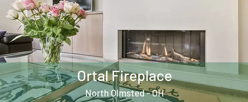  Ortal Fireplace North Olmsted - OH