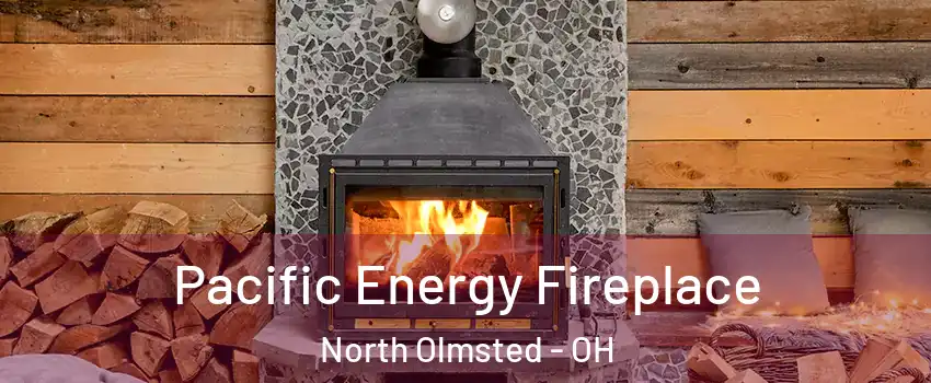 Pacific Energy Fireplace North Olmsted - OH